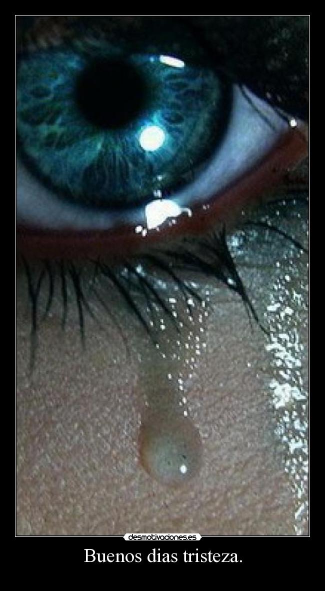 Buenos dias tristeza. -