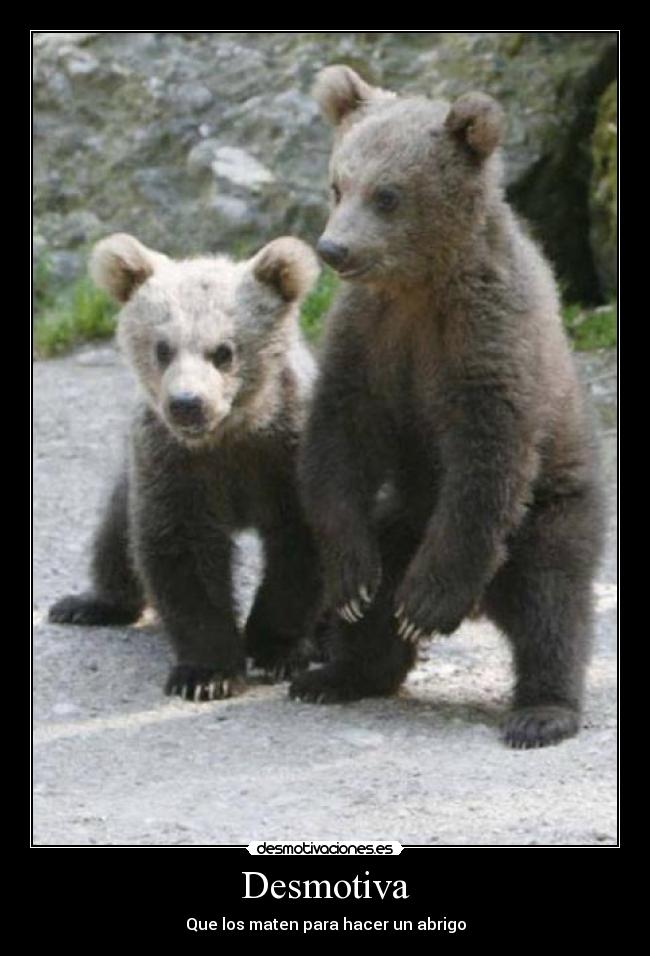 Desmotiva - Que los maten para hacer un abrigo
