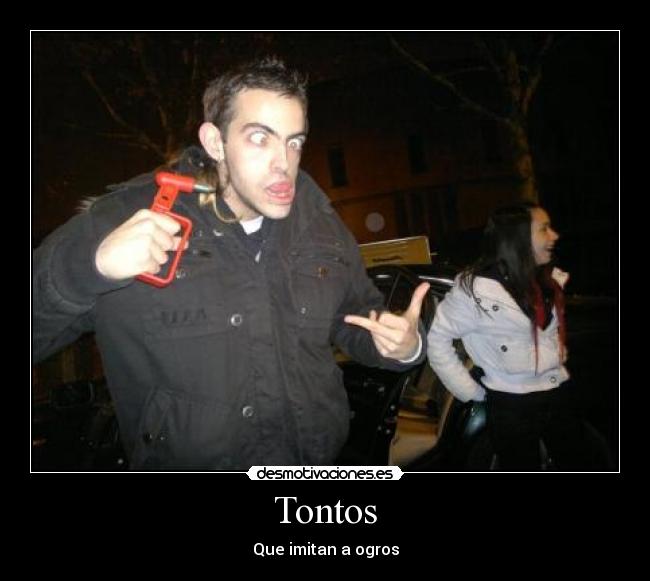 Tontos -