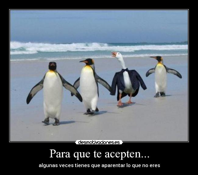 Para que te acepten... - algunas veces tienes que aparentar lo que no eres