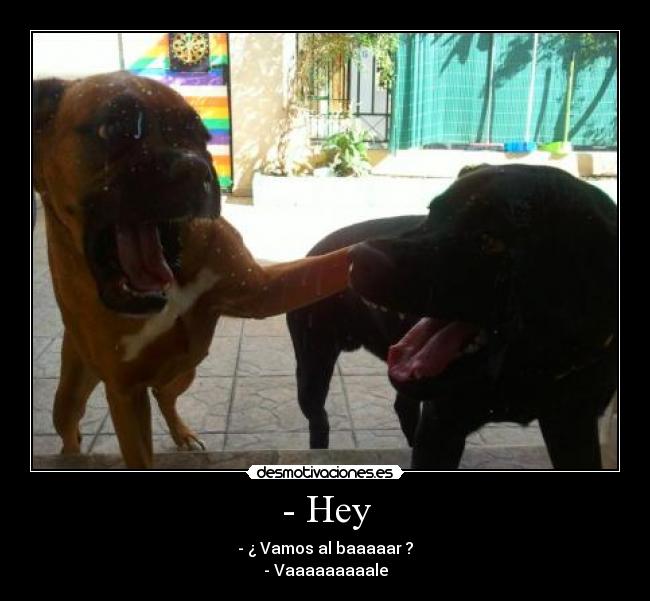 - Hey - - ¿ Vamos al baaaaar ?
- Vaaaaaaaaale