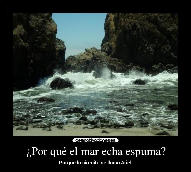 ¿Por qué el mar echa espuma? -