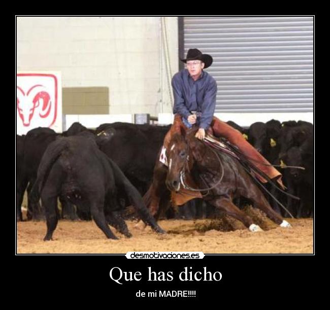 Que has dicho - de mi MADRE!!!!