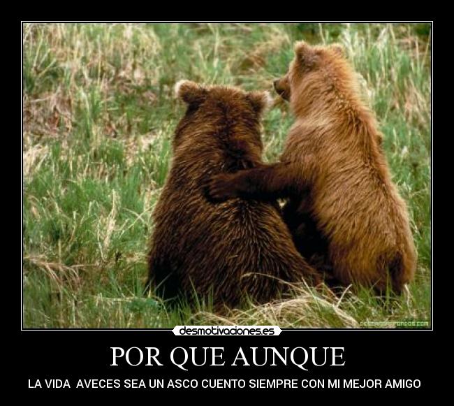 POR QUE AUNQUE -