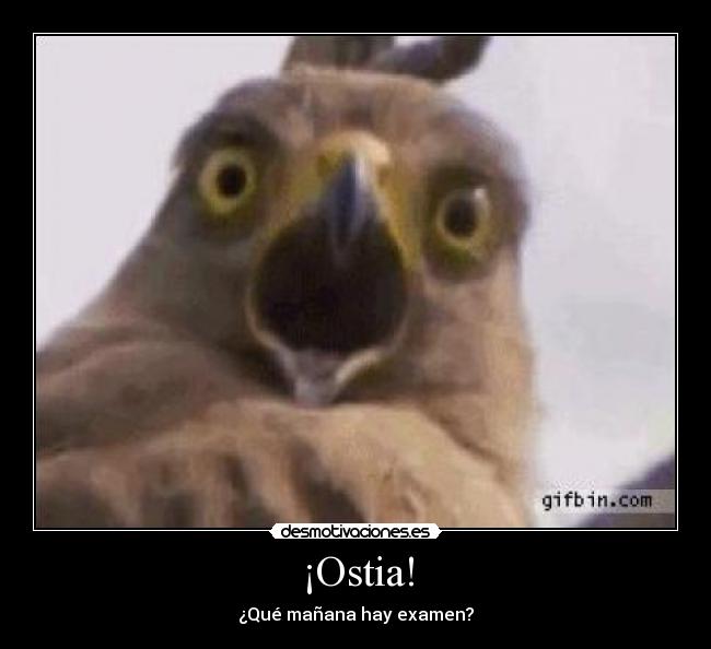 ¡Ostia! -