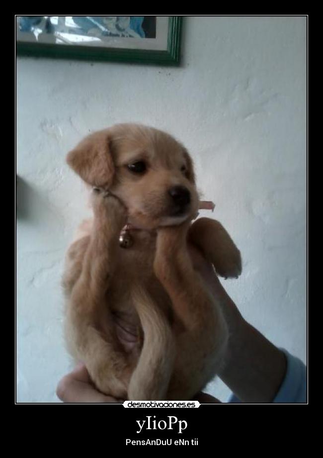 carteles jaod7 desmotivaciones