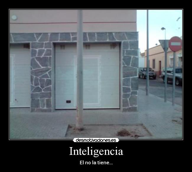 Inteligencia - El no la tiene...