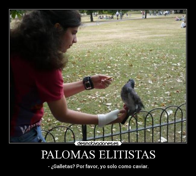 PALOMAS ELITISTAS - - ¿Galletas? Por favor, yo solo como caviar.