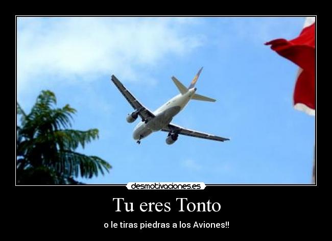 Tu eres Tonto - o le tiras piedras a los Aviones!!
