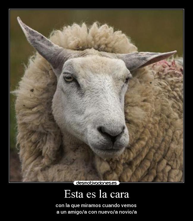 carteles quelejodanalespejo desmotivaciones