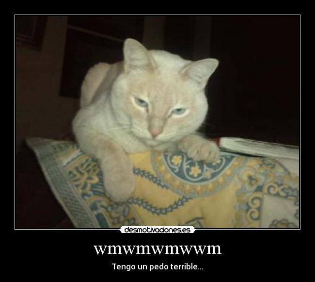 wmwmwmwwm - Tengo un pedo terrible...