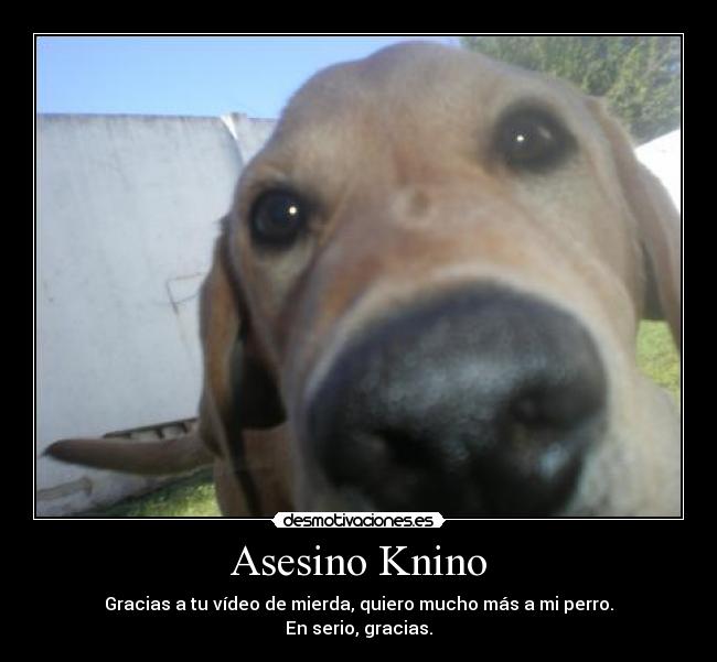 Asesino Knino - Gracias a tu vídeo de mierda, quiero mucho más a mi perro.
En serio, gracias.