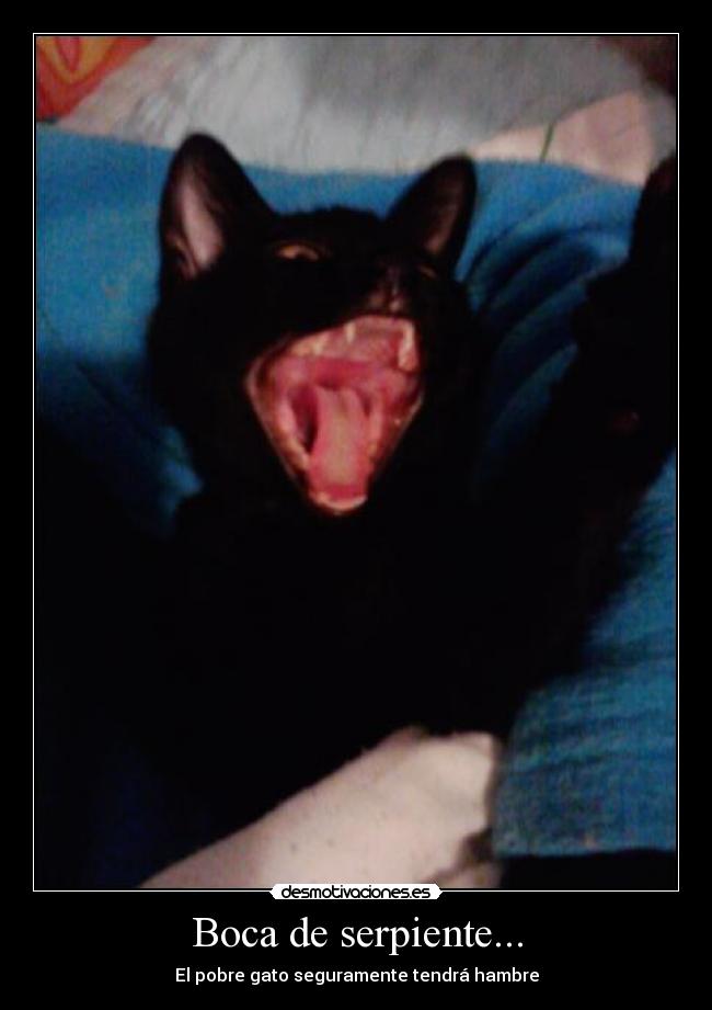 Boca de serpiente... -