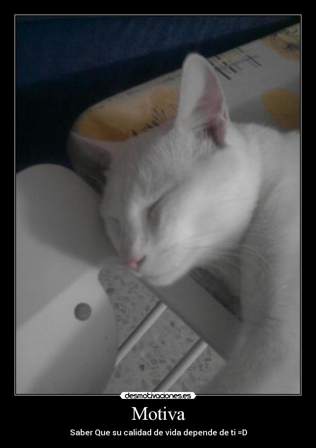 Motiva - Saber Que su calidad de vida depende de ti =D