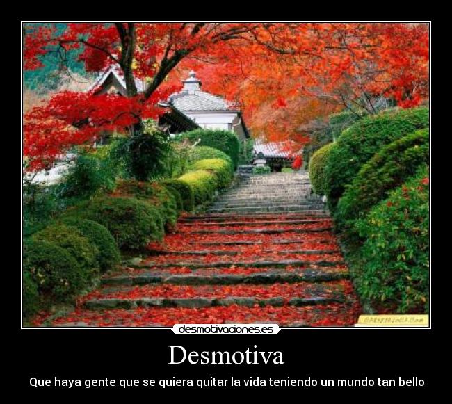 Desmotiva - Que haya gente que se quiera quitar la vida teniendo un mundo tan bello