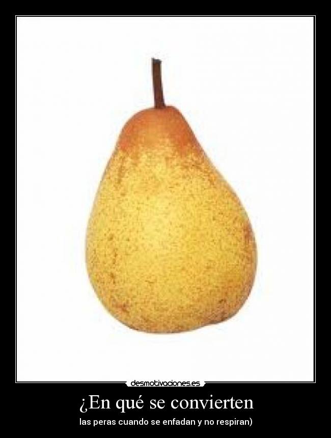 ¿En qué se convierten - las peras cuando se enfadan y no respiran)