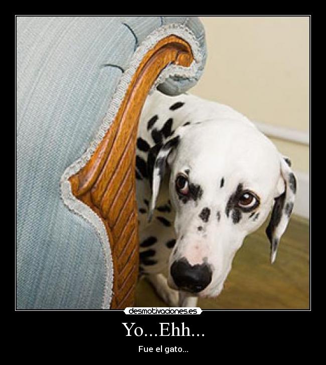 Yo...Ehh... - Fue el gato...