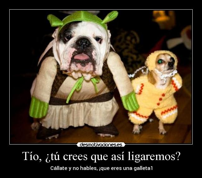 Tío, ¿tú crees que así ligaremos? -