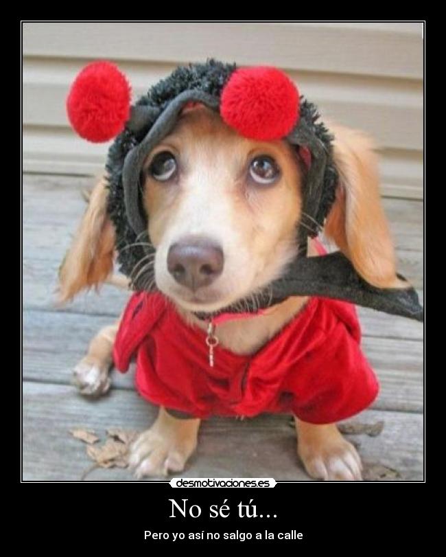 No sé tú... - Pero yo así no salgo a la calle