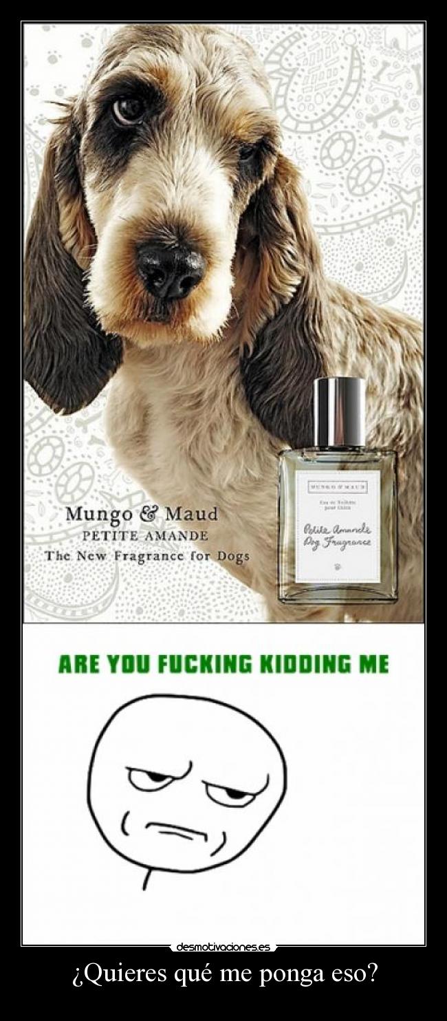 ¿Quieres qué me ponga eso? -