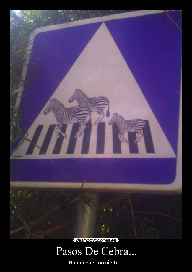 Pasos De Cebra... - Nunca Fue Tan cierto...