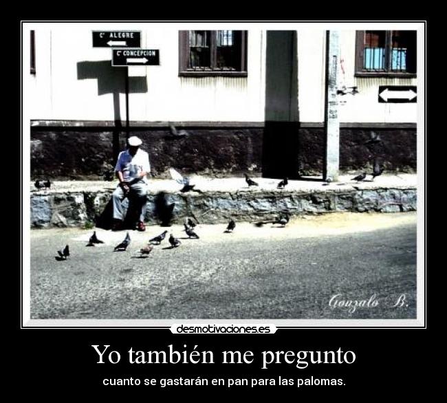 carteles abuelos palomas pan desmotivaciones