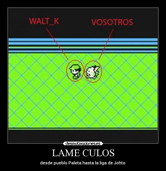 LAME CULOS - 
