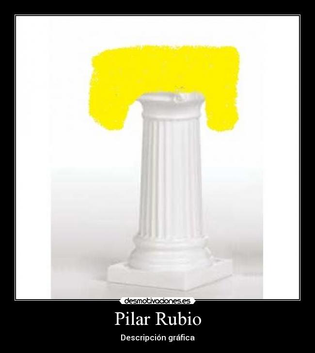 Pilar Rubio - Descripción gráfica