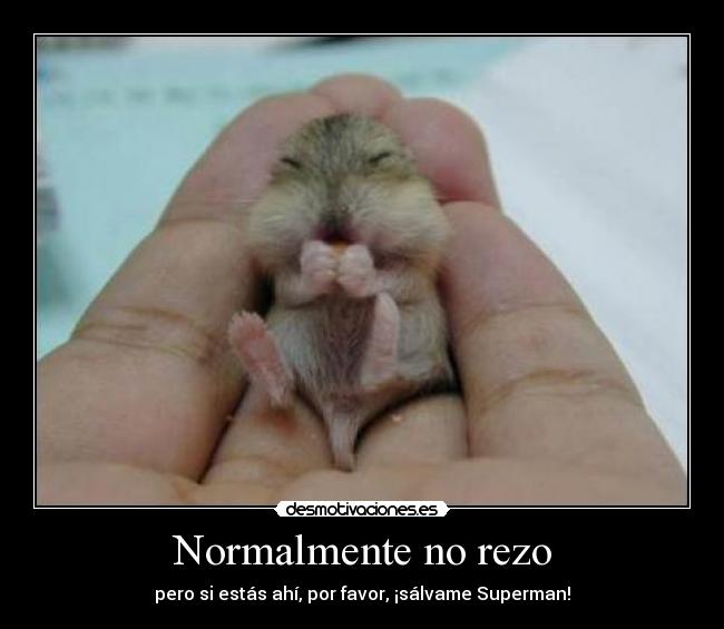 carteles normalmente rezo agui superman salvame por favor desmotivaciones