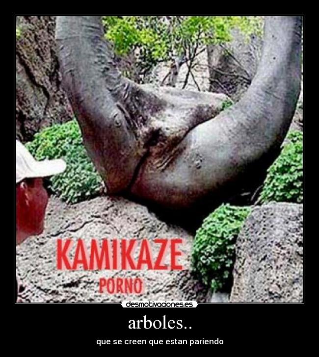 arboles.. - 