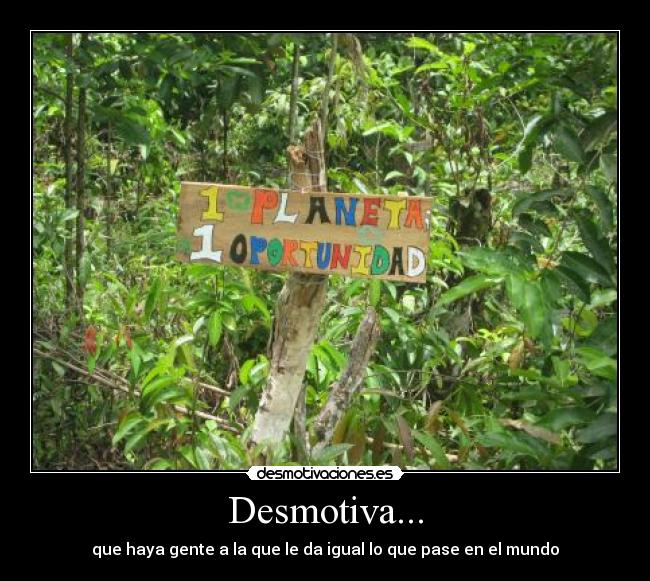 carteles jordechivi desmotivaciones