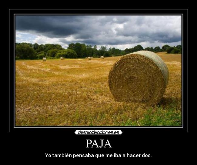 PAJA - Yo también pensaba que me iba a hacer dos.