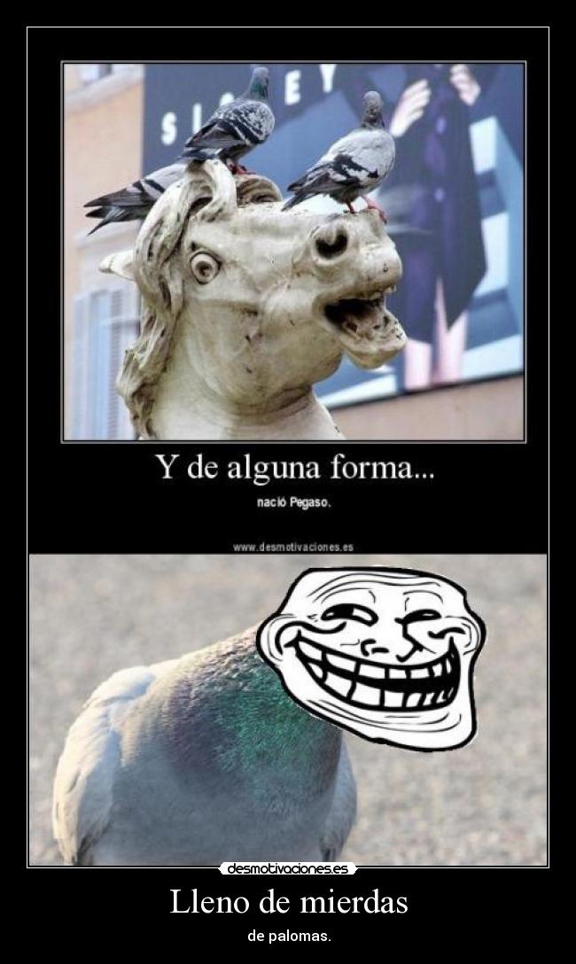 Lleno de mierdas - de palomas.