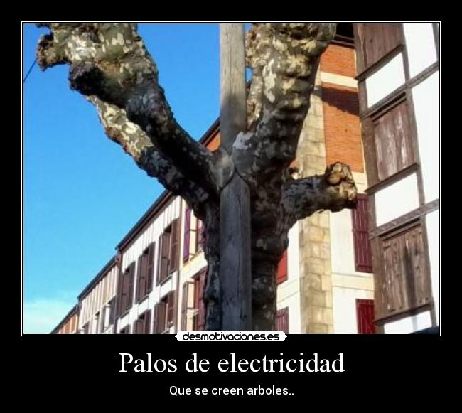 Palos de electricidad -
