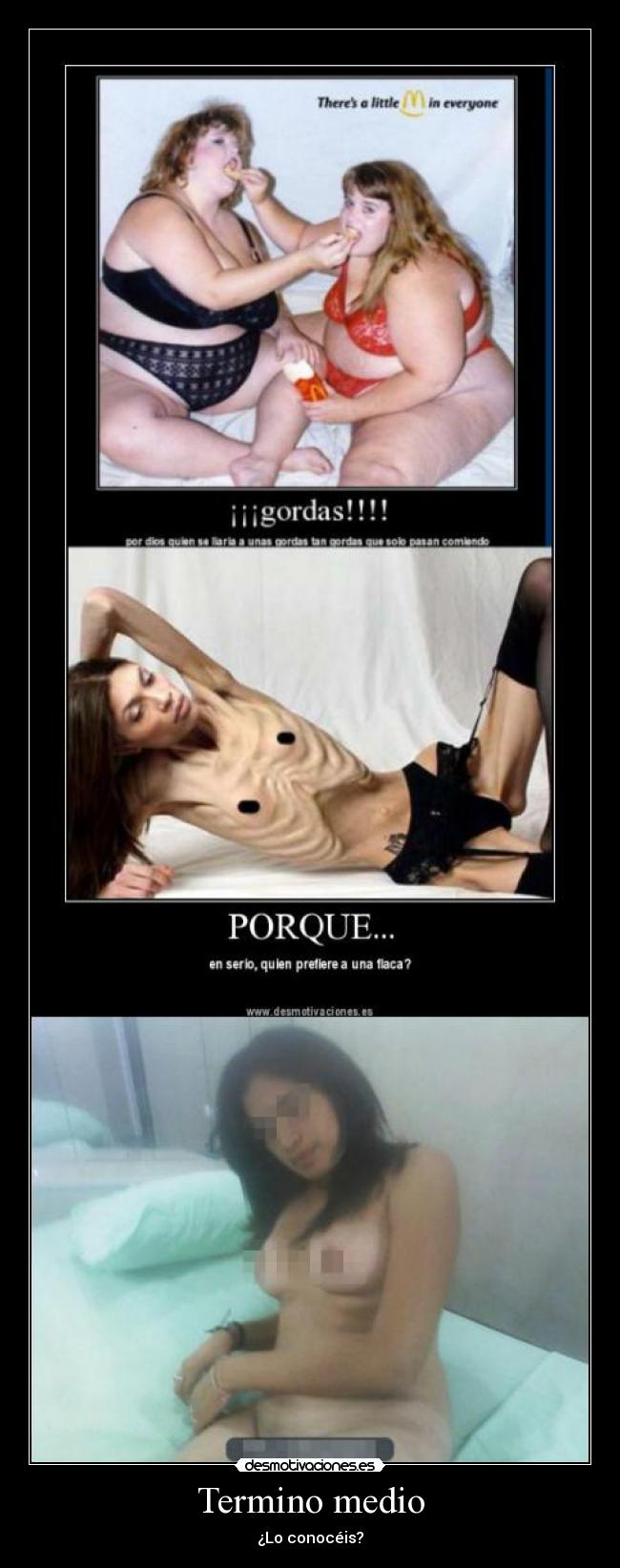 carteles flaca gorda termino medio desmotivaciones
