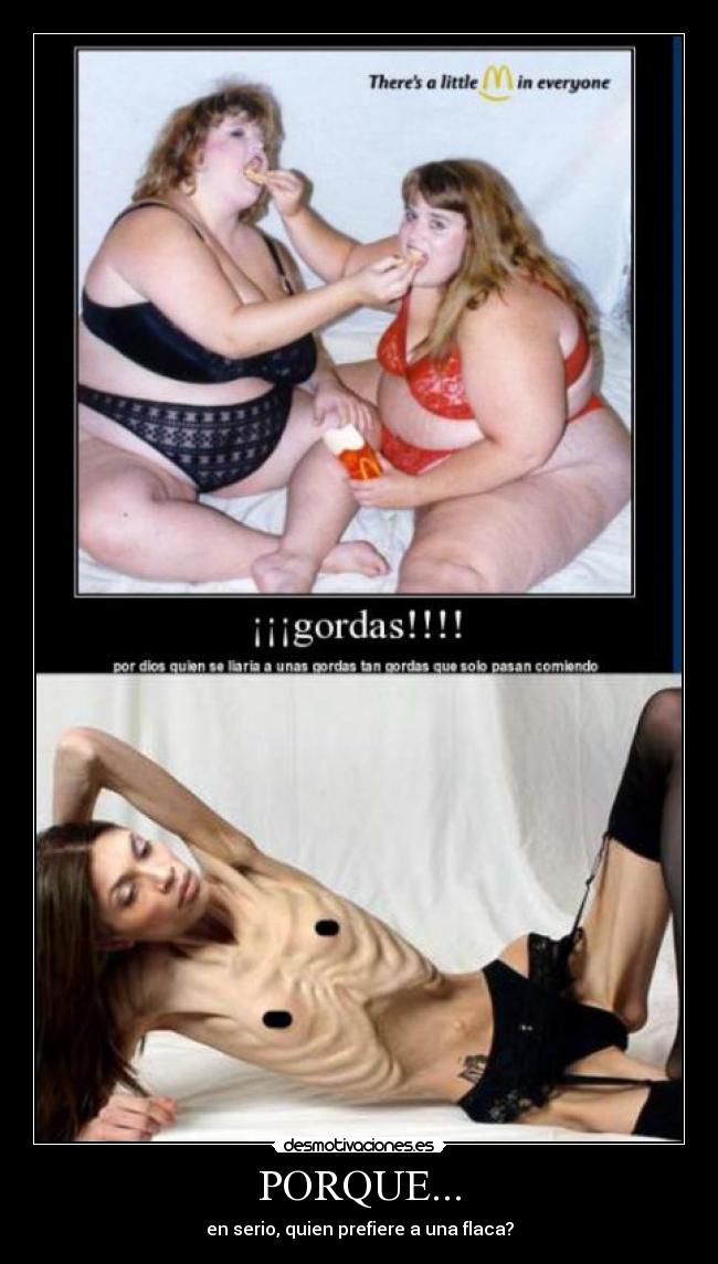 carteles gorda flaca desmotivaciones