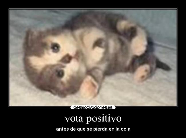 carteles svfasdvqsa desmotivaciones