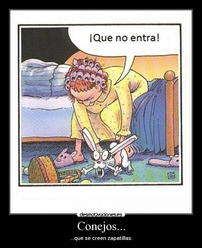 Conejos... - ...que se creen zapatillas.