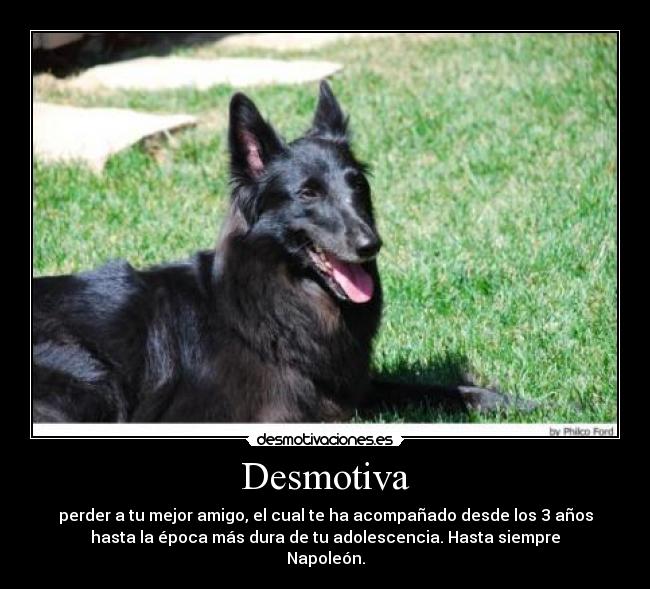 Desmotiva -