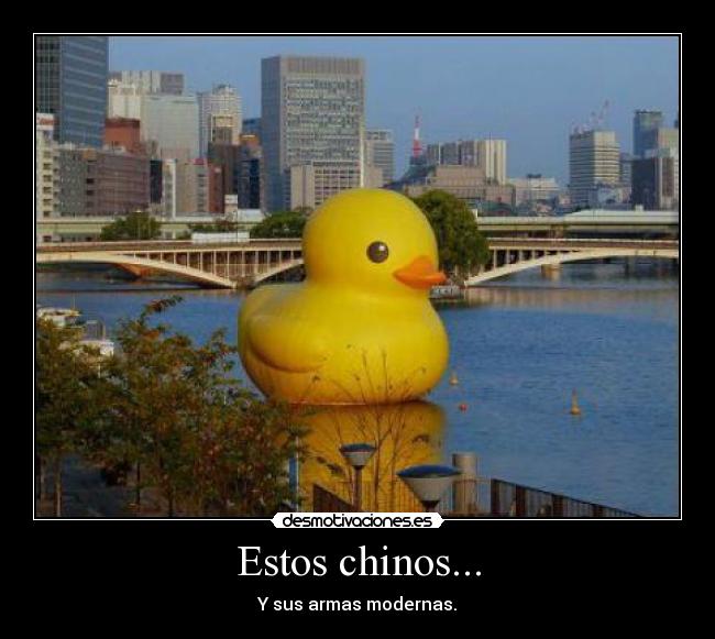 carteles pato desmotivaciones