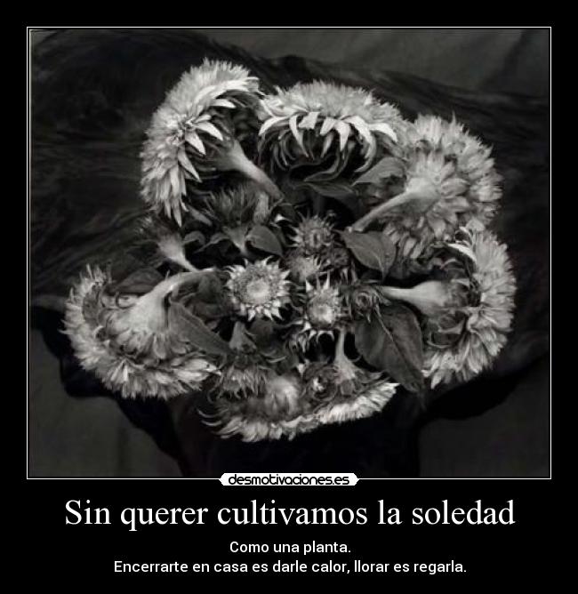 la soledad comienza xhelazz la soledad comienza xhelazz