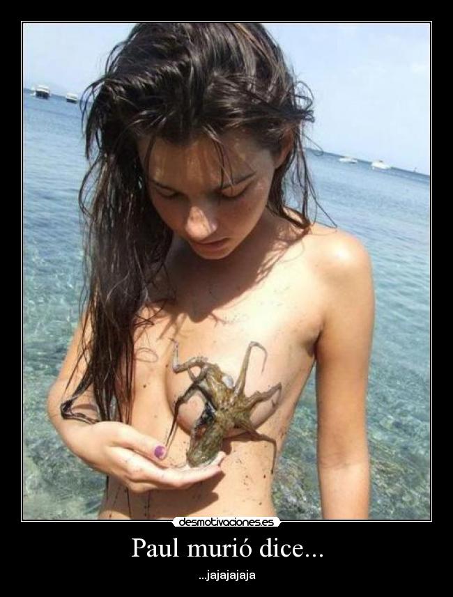 carteles paul espana futbol murio desmotivaciones