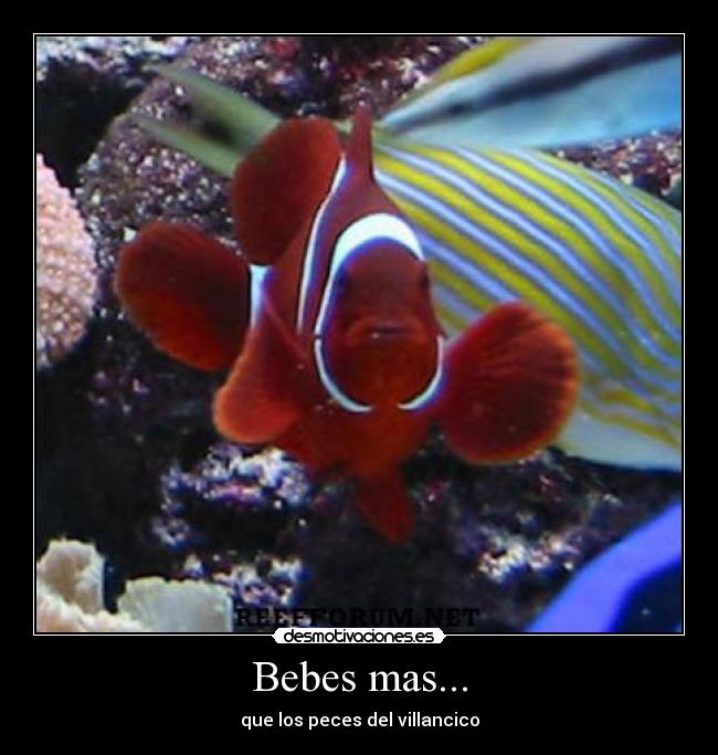 Bebes mas... -