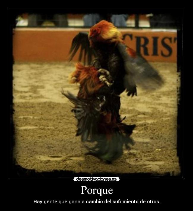 Porque - Hay gente que gana a cambio del sufrimiento de otros.