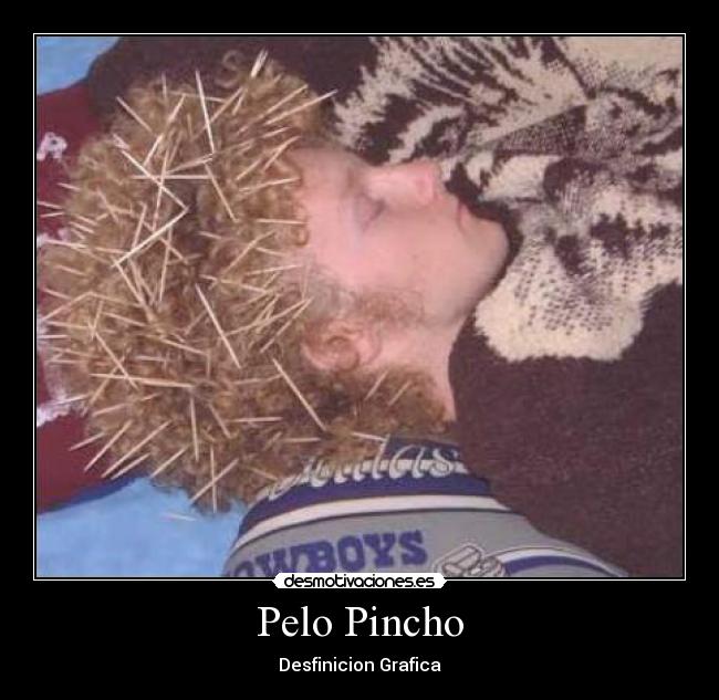 Pelo Pincho - Desfinicion Grafica