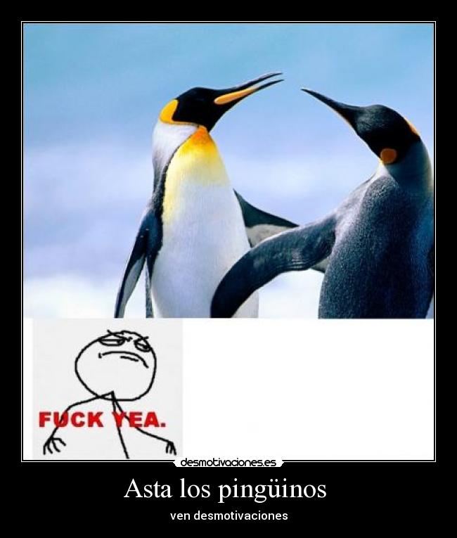 Asta los pingüinos - ven desmotivaciones