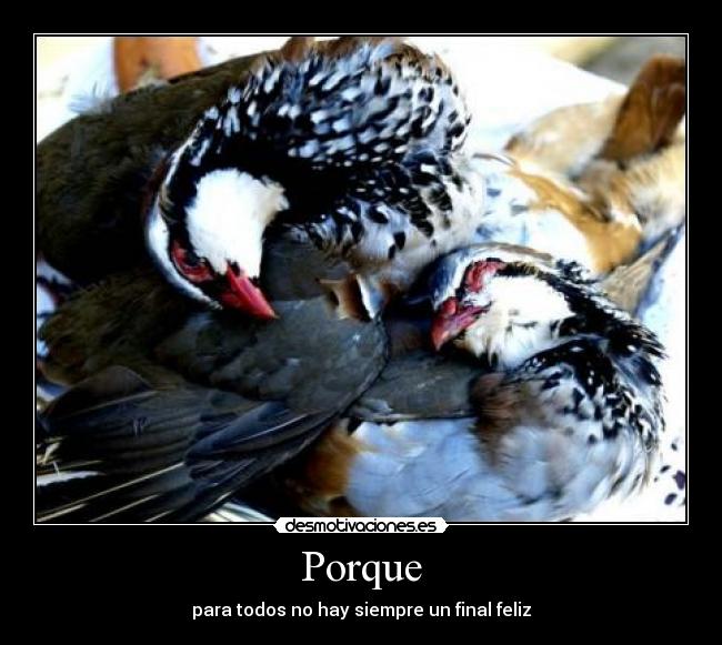 Porque - para todos no hay siempre un final feliz