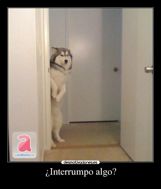 ¿Interrumpo algo? - 