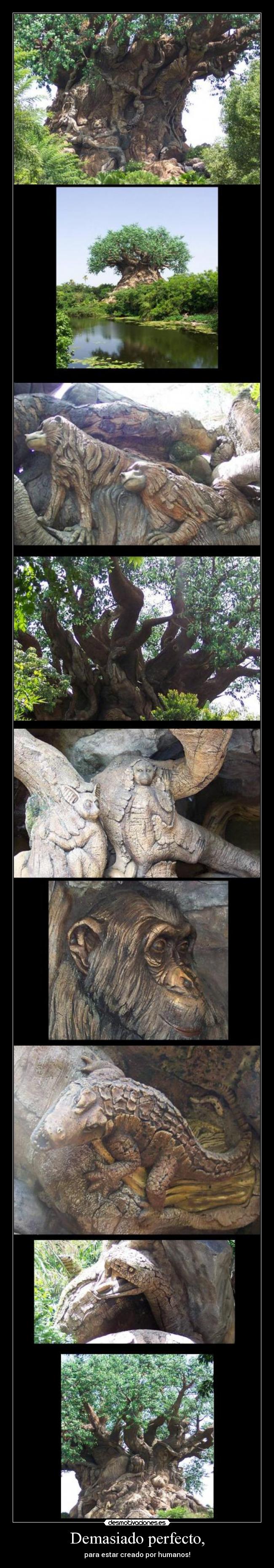 Demasiado perfecto, - 