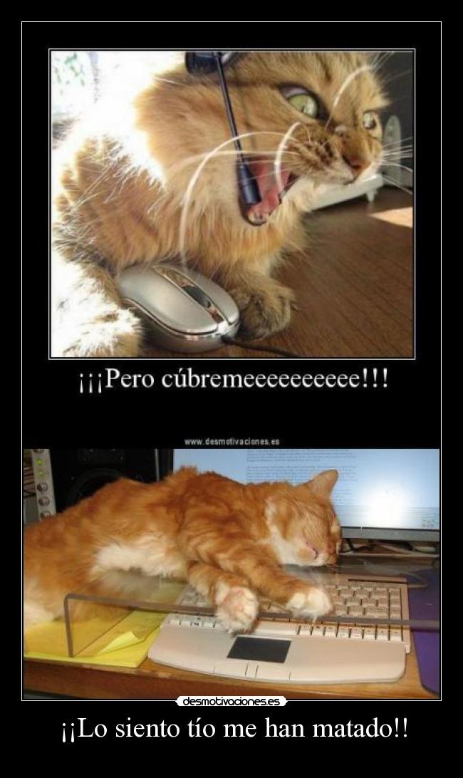 ¡¡Lo siento tío me han matado!! - 